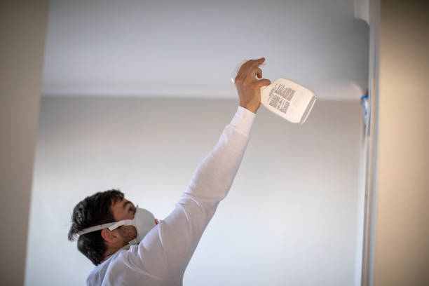 Best Professional Mold Removal  in Sughter, LA