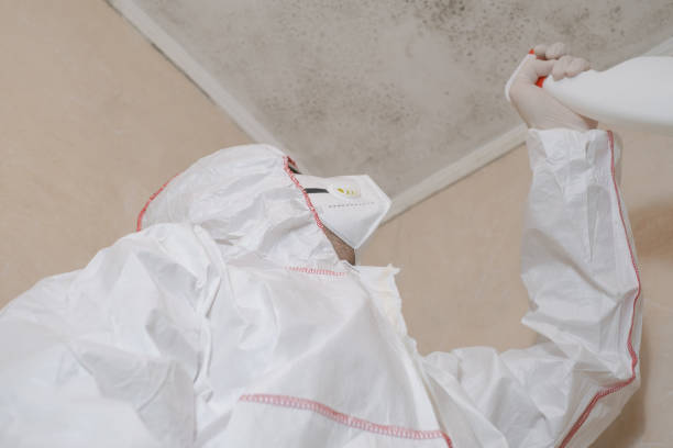 Best Local Mold Removal Service  in Sughter, LA
